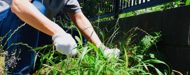 除草作業からの解放